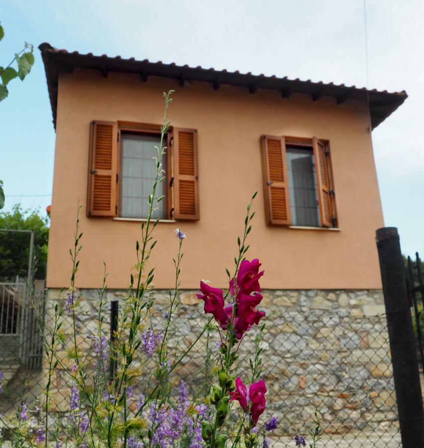 Paliouri House Villa Exterior photo